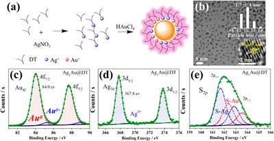 Physical Origin of Dual-Emission of Au–Ag Bimetallic Nanoclusters